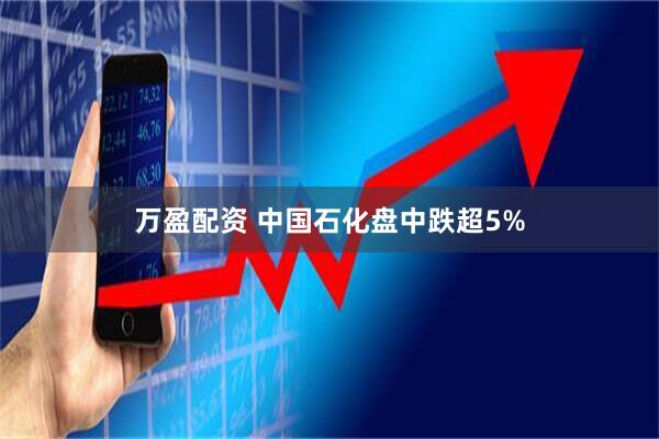 万盈配资 中国石化盘中跌超5%