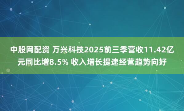 中股网配资 万兴科技2025前三季营收11.42亿元同比增8.5% 收入增长提速经营趋势向好