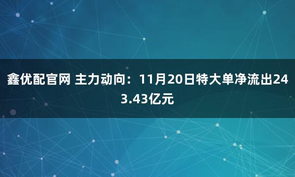 鑫优配官网 主力动向：11月20日特大单净流出243.43亿元