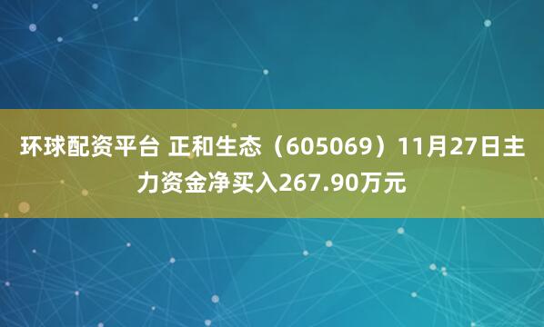 环球配资平台 正和生态（605069）11月27日主力资金净买入267.90万元